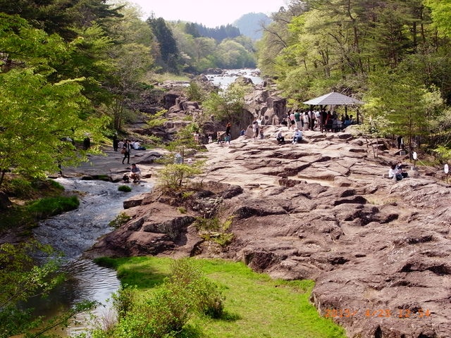 東北賞「落」櫻行第四天（2015.4.26-30）