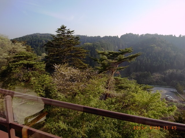 東北賞「落」櫻行第四天（2015.4.26-30）