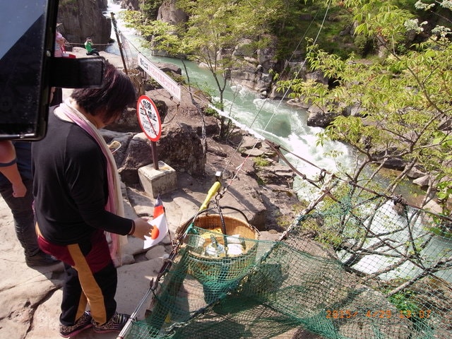 東北賞「落」櫻行第四天（2015.4.26-30）