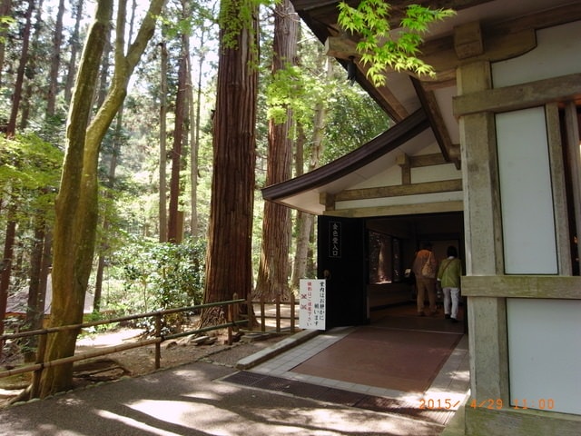 東北賞「落」櫻行第四天（2015.4.26-30）