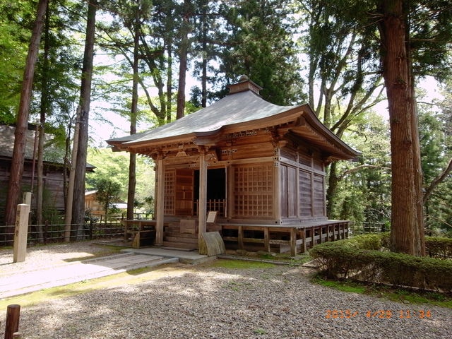 東北賞「落」櫻行第四天（2015.4.26-30）