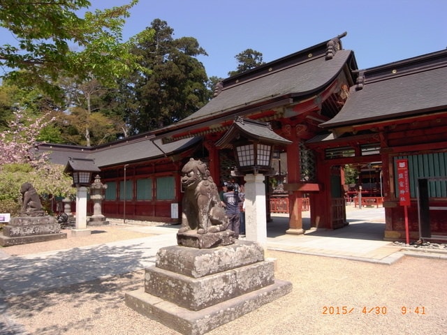 東北賞「落」櫻行第五天（2015.4.26-30）