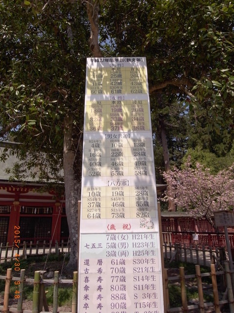 東北賞「落」櫻行第五天（2015.4.26-30）
