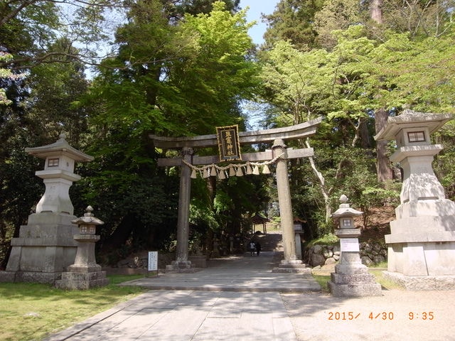 東北賞「落」櫻行第五天（2015.4.26-30）