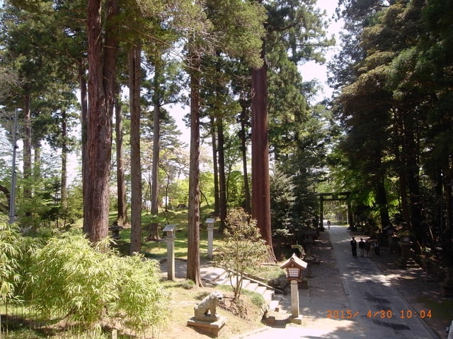 東北賞「落」櫻行第五天（2015.4.26-30）