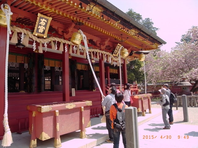 東北賞「落」櫻行第五天（2015.4.26-30）