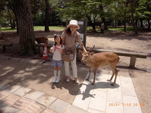 R0029541.JPG - 日本大阪行（2015.7.9-14）