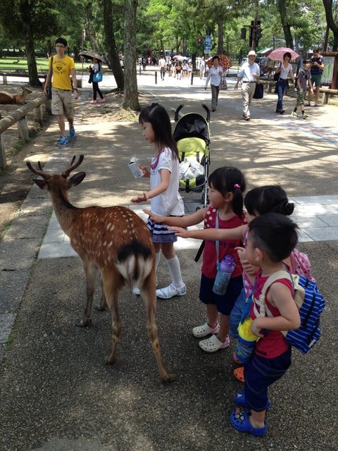 IMG_6738.jpg - 日本大阪行（2015.7.9-14）
