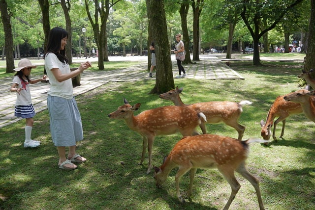 P1150474.JPG - 日本大阪行（2015.7.9-14）