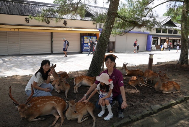 P1150510.JPG - 日本大阪行（2015.7.9-14）