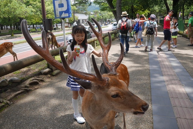 P1150369.JPG - 日本大阪行（2015.7.9-14）