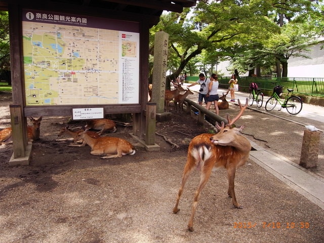 R0029538.JPG - 日本大阪行（2015.7.9-14）