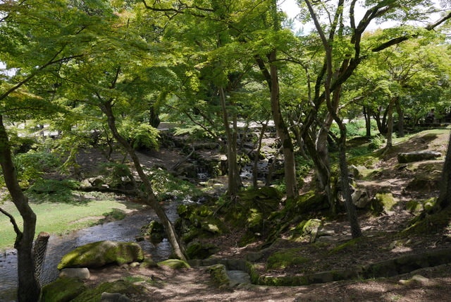 P1150522.JPG - 日本大阪行（2015.7.9-14）
