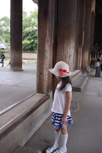 P1150568.JPG - 日本大阪行（2015.7.9-14）