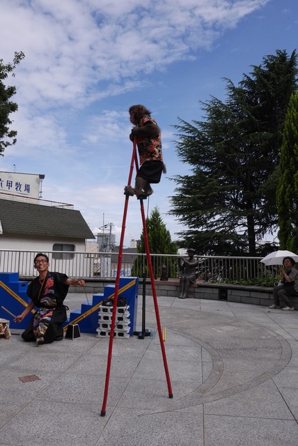 P1160451.JPG - 日本大阪行（2015.7.9-14）