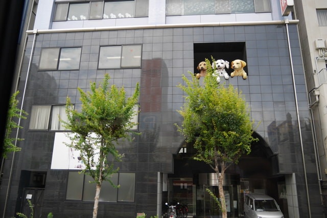 P1160552.JPG - 日本大阪行（2015.7.9-14）