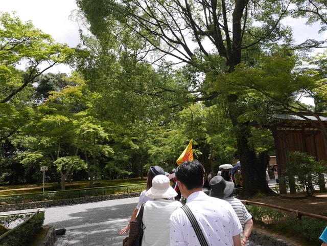 P1160634.JPG - 日本大阪行（2015.7.9-14）