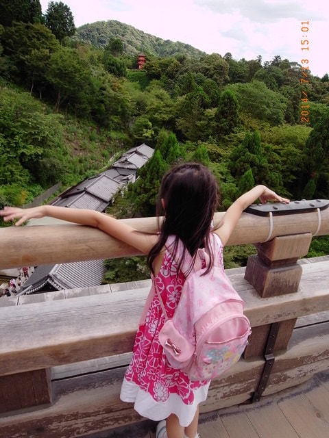 R0029877.JPG - 日本大阪行（2015.7.9-14）