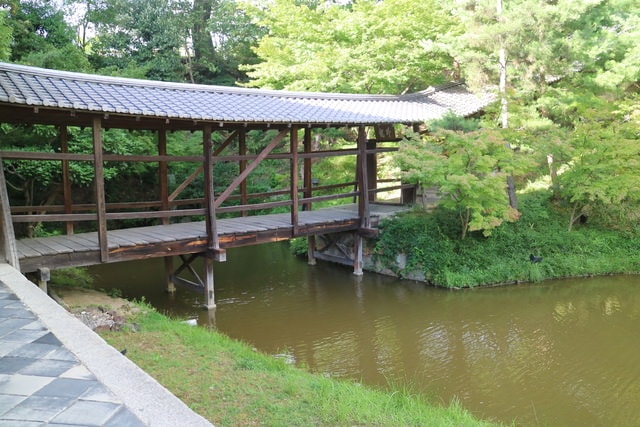 照片 3132.jpg - 日本大阪行（2015.7.9-14）
