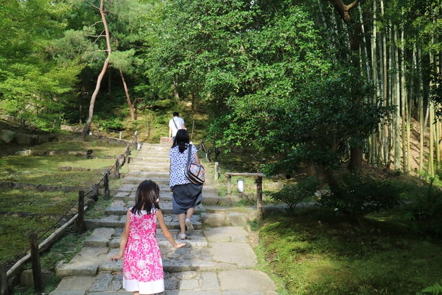 照片 3138.jpg - 日本大阪行（2015.7.9-14）