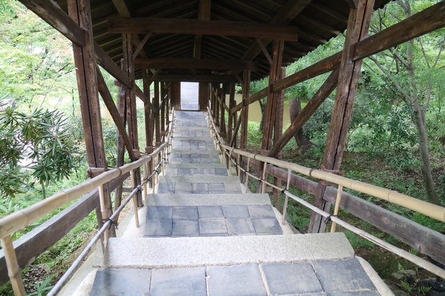 照片 3146.jpg - 日本大阪行（2015.7.9-14）