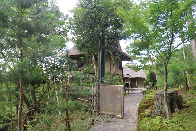 照片 3161.jpg - 日本大阪行（2015.7.9-14）
