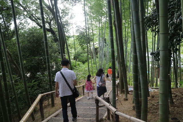 照片 3180.jpg - 日本大阪行（2015.7.9-14）
