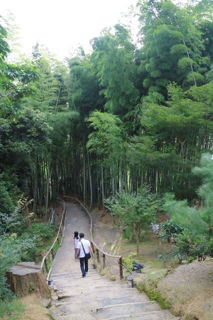 照片 3169.jpg - 日本大阪行（2015.7.9-14）