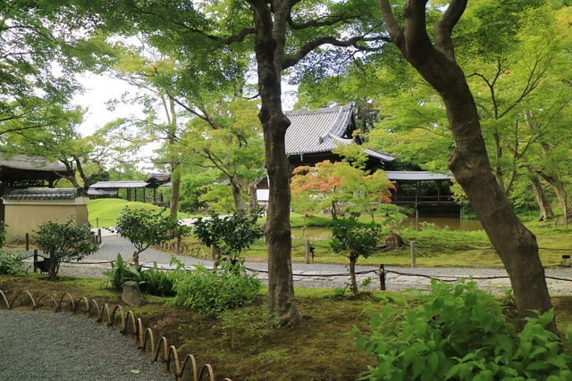 照片 3185.jpg - 日本大阪行（2015.7.9-14）