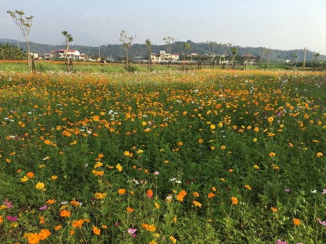 照片 3375.jpg - 2016.1~