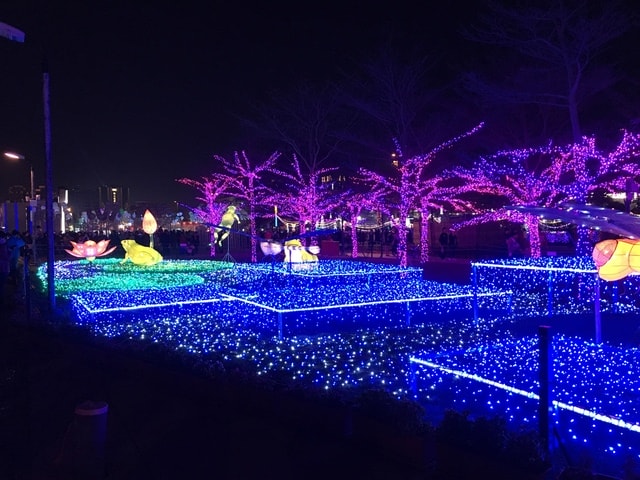 照片 2670.jpg - 2016.1~