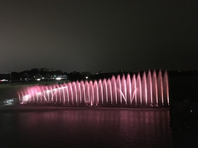 照片 3130.jpg - 2016.1~