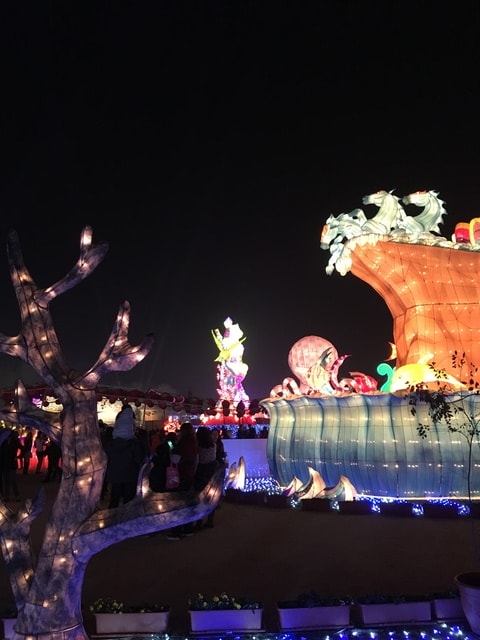 照片 2713.jpg - 2016.1~