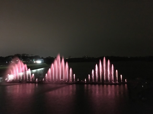 照片 3118.jpg - 2016.1~
