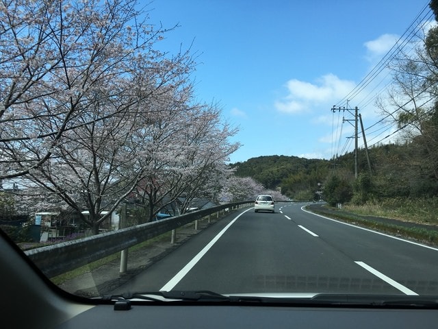 照片 2300.jpg - 2016日本鹿兒島行