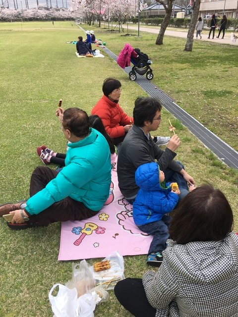 照片 2262.jpg - 2016日本鹿兒島行