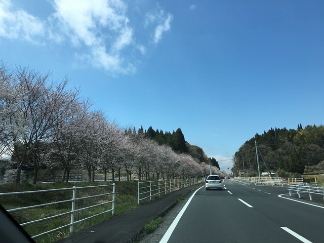 照片 2302.jpg - 2016日本鹿兒島行