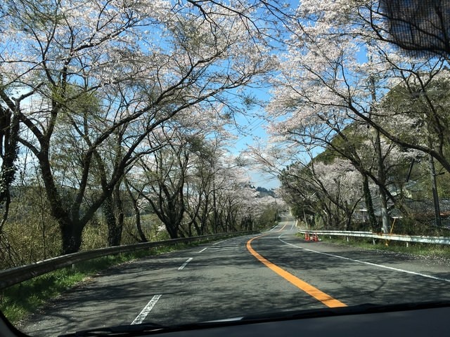 照片 2296.jpg - 2016日本鹿兒島行