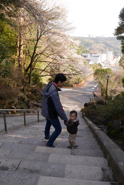 P1220820.JPG - 2016日本鹿兒島行