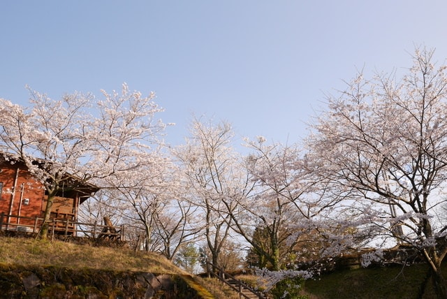P1220834.JPG - 2016日本鹿兒島行