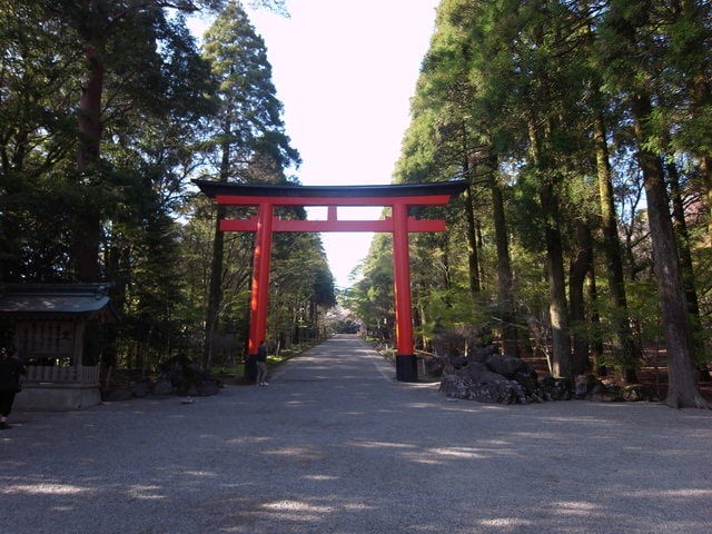 R0030497.JPG - 2016日本鹿兒島行