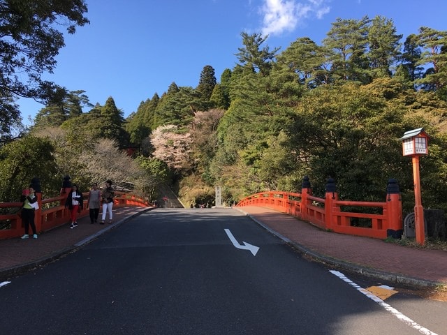 照片 2194.jpg - 2016日本鹿兒島行