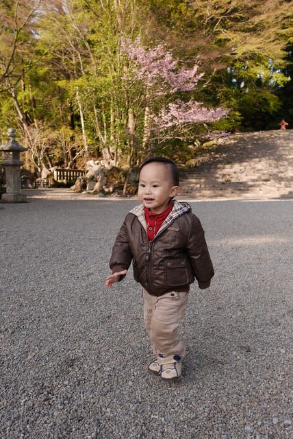 P1220758.JPG - 2016日本鹿兒島行