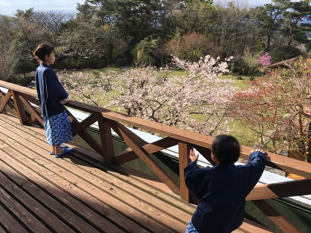 照片 2008.jpg - 2016日本鹿兒島行