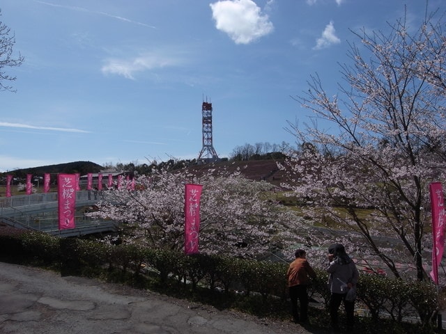 R0030535.JPG - 2016日本鹿兒島行