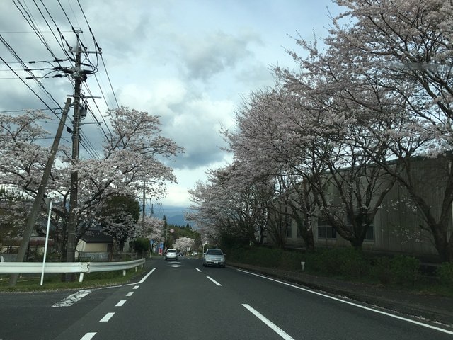 照片 1654.jpg - 2016日本鹿兒島行