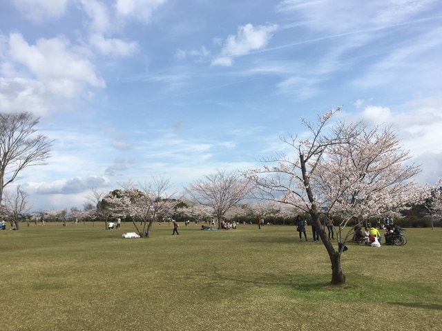 照片 1706.jpg - 2016日本鹿兒島行