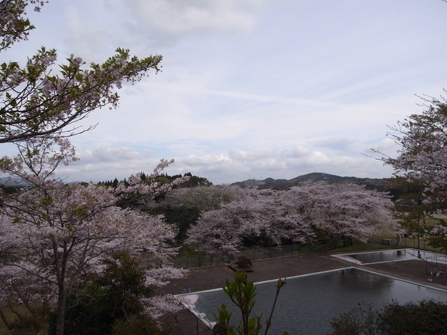 R0030583.JPG - 2016日本鹿兒島行