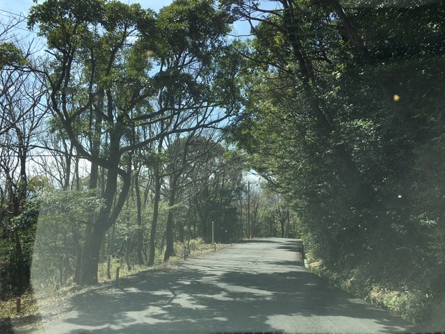 照片 1900.jpg - 2016日本鹿兒島行
