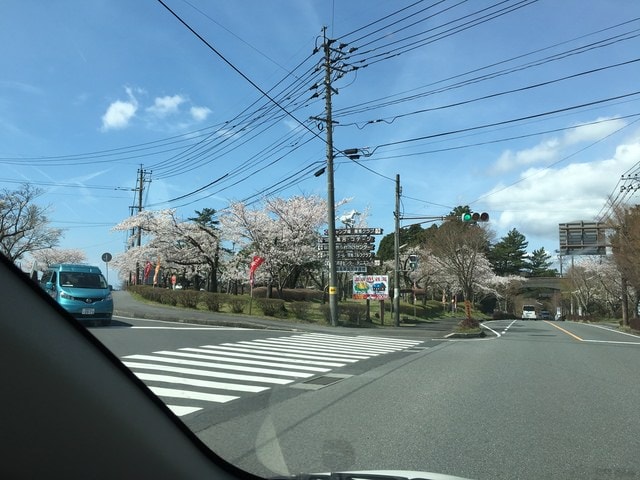 照片 1890.jpg - 2016日本鹿兒島行
